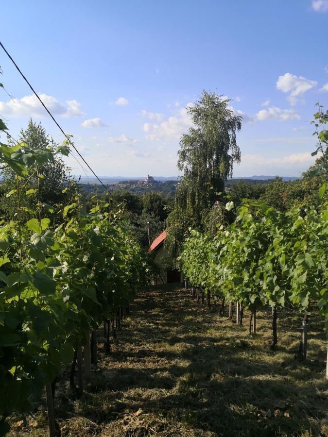 Willa Vikendica Sirec Ptujska Gora Zewnętrze zdjęcie